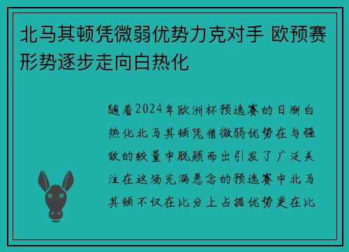 北马其顿凭微弱优势力克对手 欧预赛形势逐步走向白热化