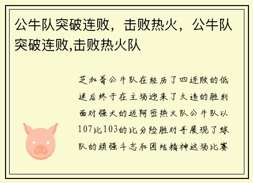 公牛队突破连败，击败热火，公牛队突破连败,击败热火队