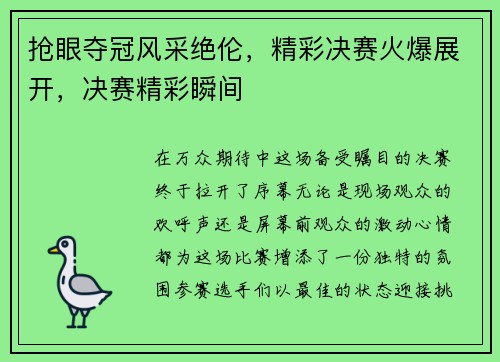 抢眼夺冠风采绝伦，精彩决赛火爆展开，决赛精彩瞬间
